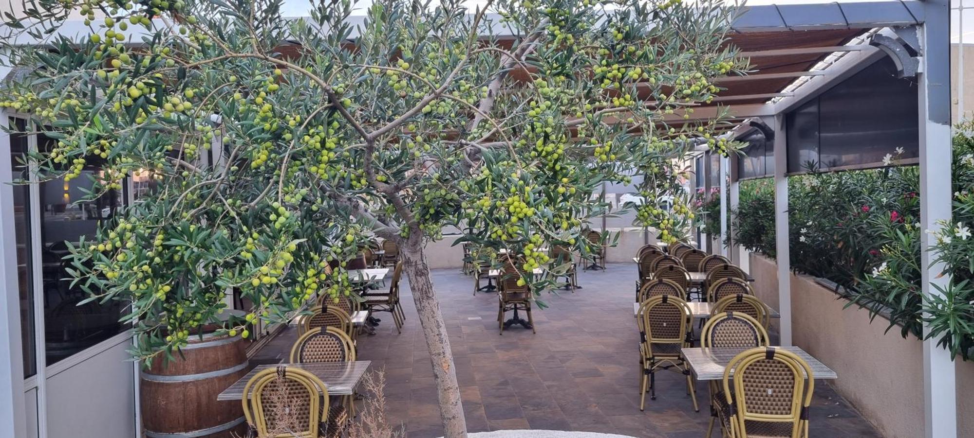 Hotel Restaurant Calypso 滨海福斯 外观 照片